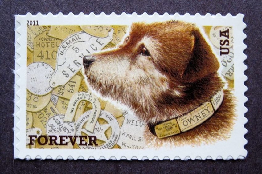 Owney The Postal Dog