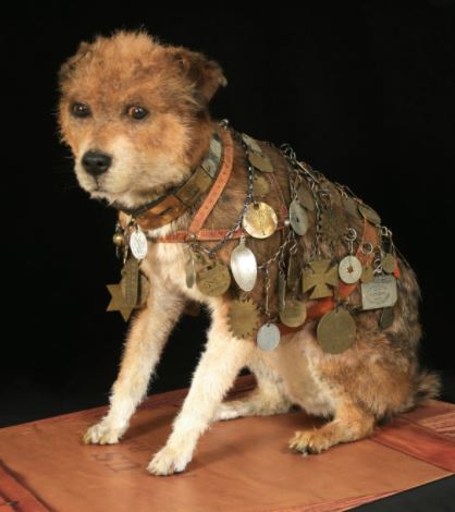 postal 2 dog picture postal 2 dog picture